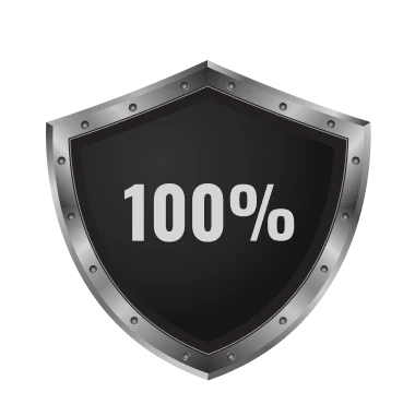 100% гарантия
